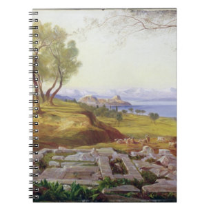 Corfu from Ascension, c.1856-64 (oil on canvas) Notebook