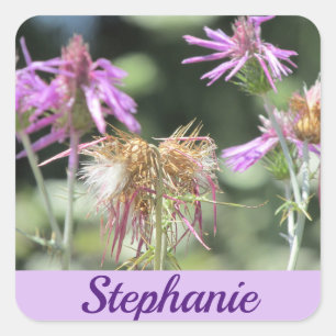 Corfu Lilac Wildflowers Square Sticker