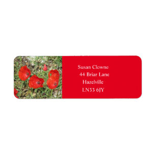 Corfu Red Poppies Return Address Labels