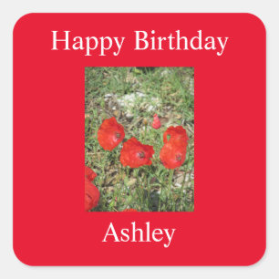 Corfu Red Poppies Sticker