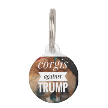 corgi against dog tag