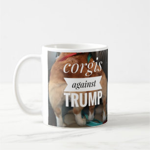 corgi against mug