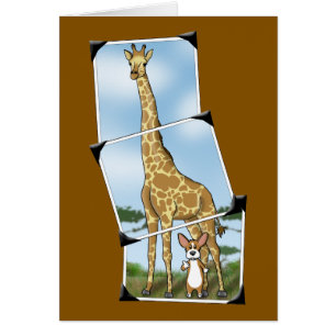 Corgi and Giraffe Snapshots