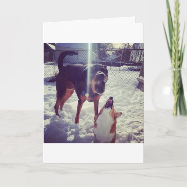 Corgi Best Friend Birthday Card (Front)