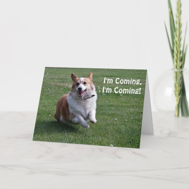 Corgi Birthday Card (Front)