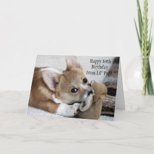 Corgi Birthday Wishes Card