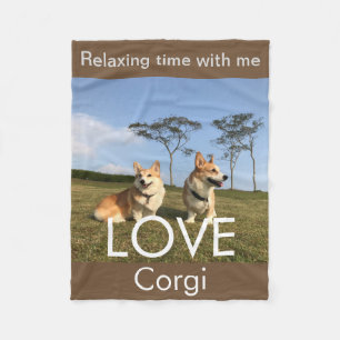 corgi blanket blue sky