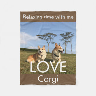 corgi blanket blue sky