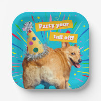 Corgi Butt Birthday Hat