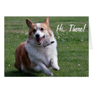 Corgi Card