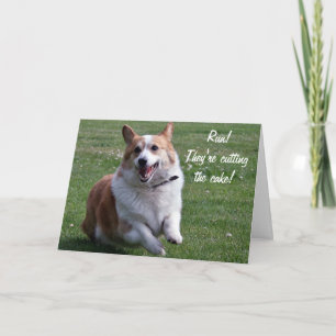 Corgi Card
