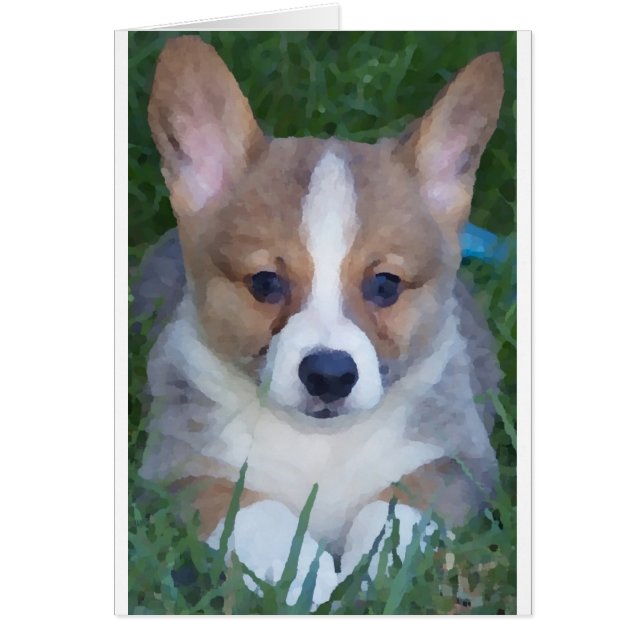 Corgi card (Front)
