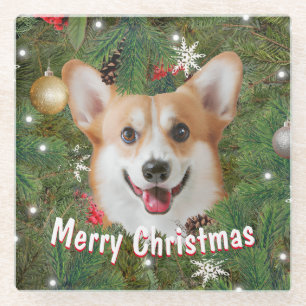 Corgi Christmas Glass Coaster