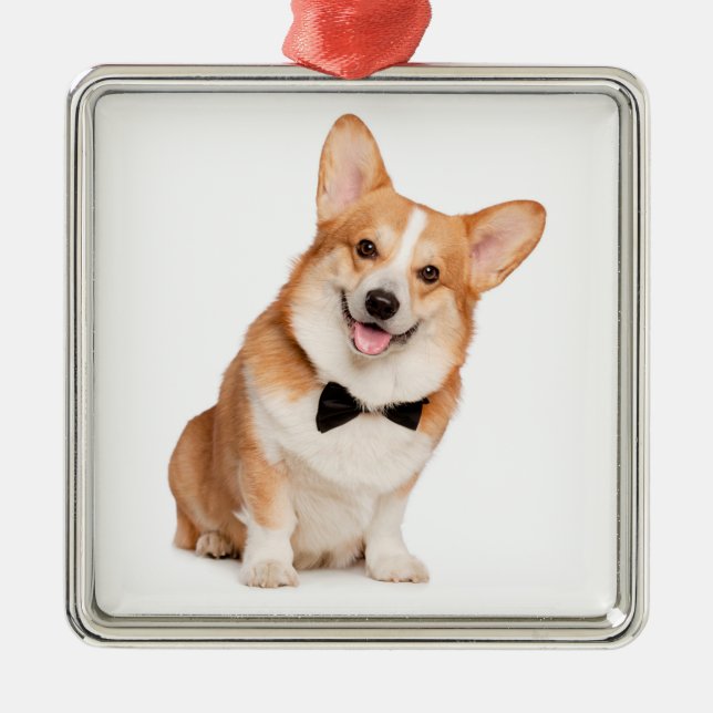 Corgi Christmas Metal Tree Decoration (Front)