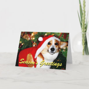 Corgi dog Christmas card