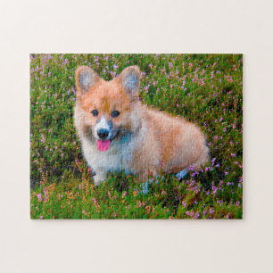Corgi Dog. Jigsaw Puzzle