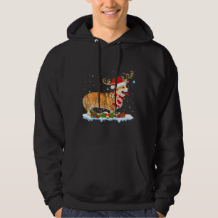Corgi Dog  Lighting Santa Reindeer Hat Corgi Chris Hoodie