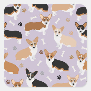 Corgi Dog Paws and Bones Square Sticker