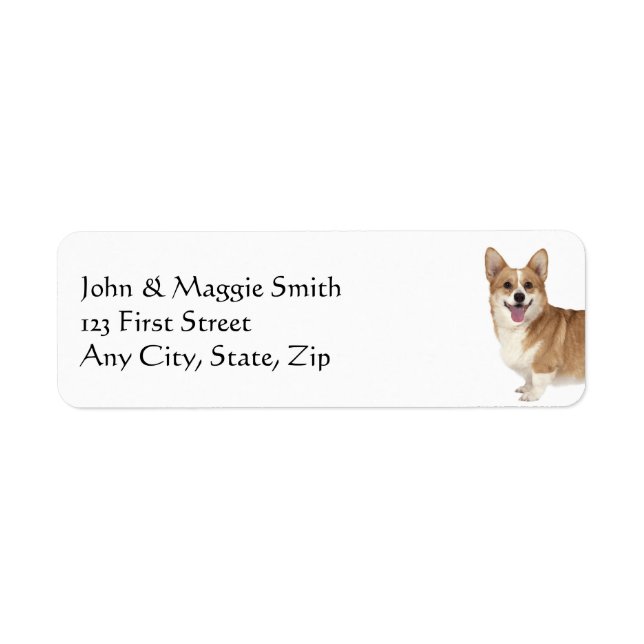 Corgi Dog Pet Animal (Front)