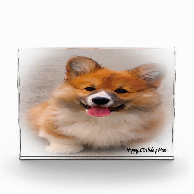 Corgi Dog. Photo Block (Front)