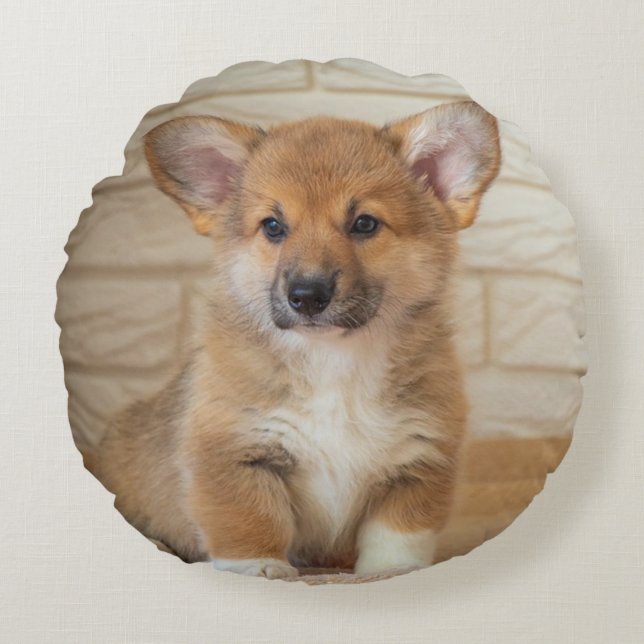 Corgi Dog Photo Round Cushion (Front)