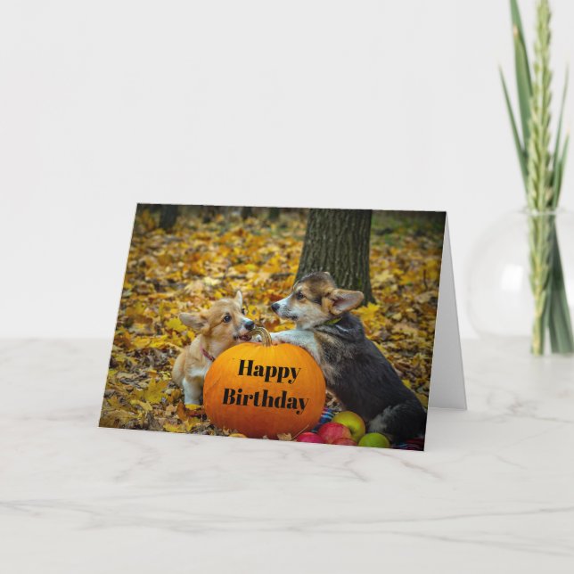Corgi Dog Pumpkin Autumn Photo Birthday Card (Front)