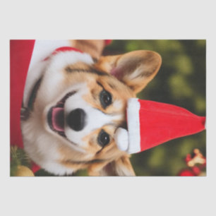 Corgi dog smiling christmas fun tissue paper
