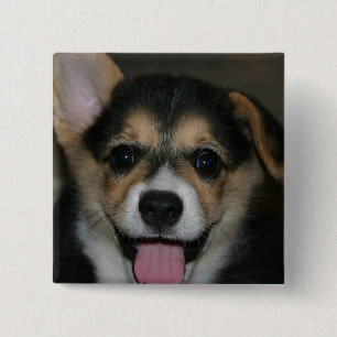 Corgi Dog Square Pin