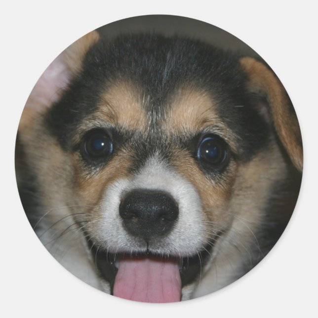 Corgi Dog Sticker (Front)