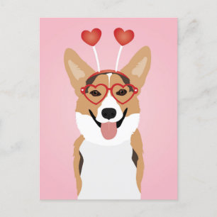 Corgi Dog Valentines Day Postcard