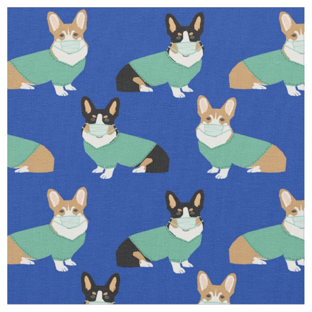 corgi dogs in scrubs blue fabric (Close Up)