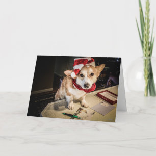 Corgi Elf Christmas Card