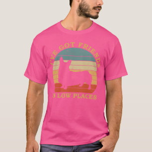 Corgi Funny Dog Saying Design I ve Got Friends In T-Shirt