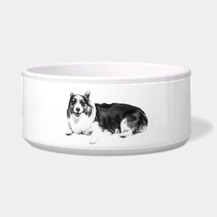 Corgi Gentle Mealtime