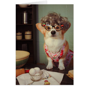 Corgi Happy Birthday