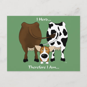 Corgi - I Herd Therefore I Am Postcard