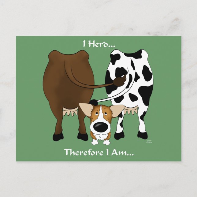 Corgi - I Herd Therefore I Am Postcard (Front)
