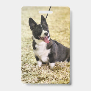 Corgi ID Badge
