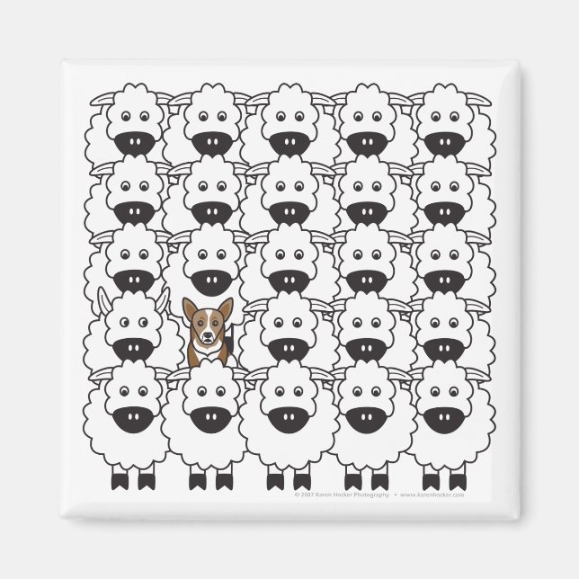 Corgi in the Sheep Magnet (Front)