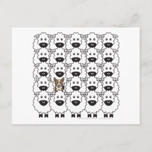 Corgi in the Sheep Postcard