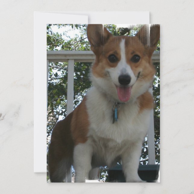 Corgi Invitation (Front)