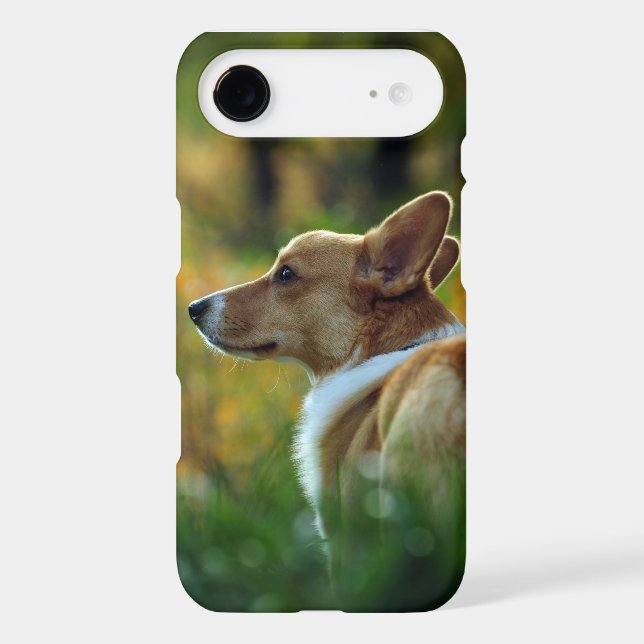 Corgi iPhone 5 Case (Back)