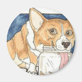 Corgi licking the Peanut Butter Jar Magnet