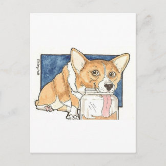 Corgi licking the Peanut Butter Jar Postcard