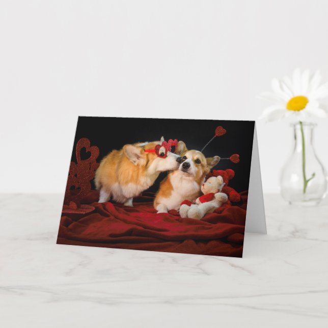 Corgi Lovers Anniversary card (Small Plant)