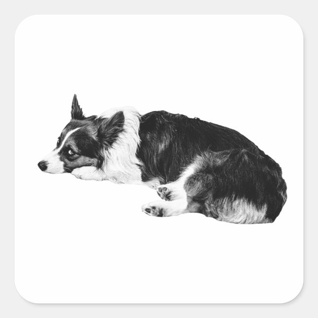 Corgi Low-Light Charm Square Sticker (Front)
