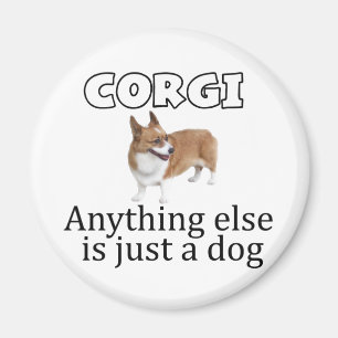 Corgi Magnet