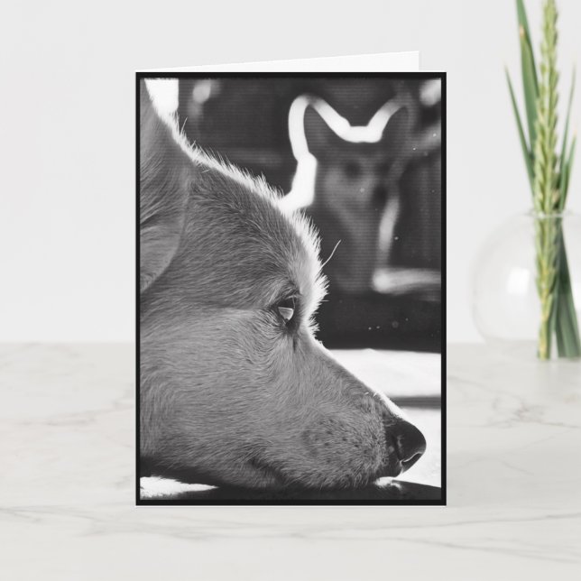 Corgi Missing You Card (Front)