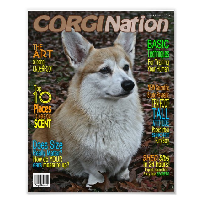 Corgi Nation Magazine (Customisable Print) Photo Print (Front)