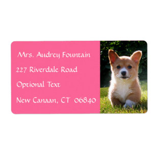 Corgi Puppy Dog Name Return Address Mailing Label
